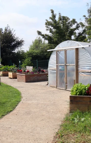 Garden and path with polytunnel